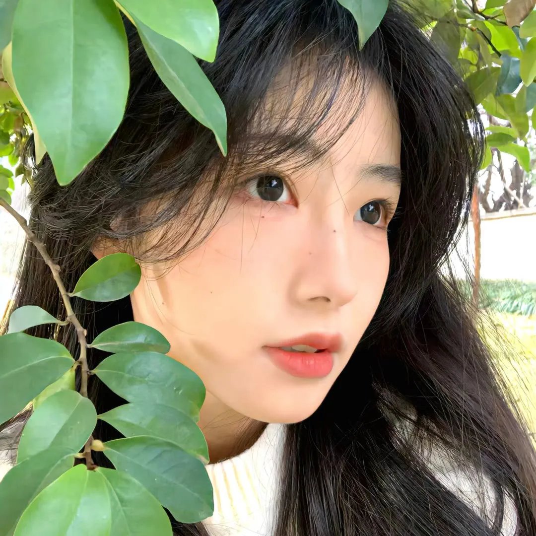 羔羊医生